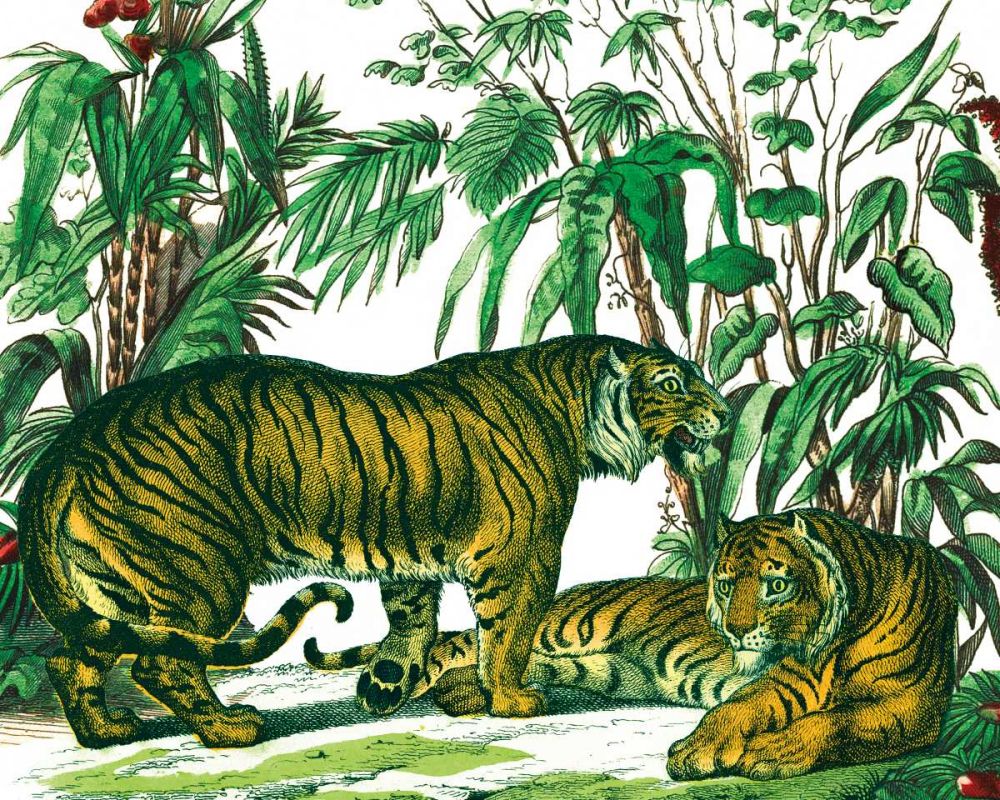 Jungle Flair V art print by Wild Apple Portfolio for $57.95 CAD