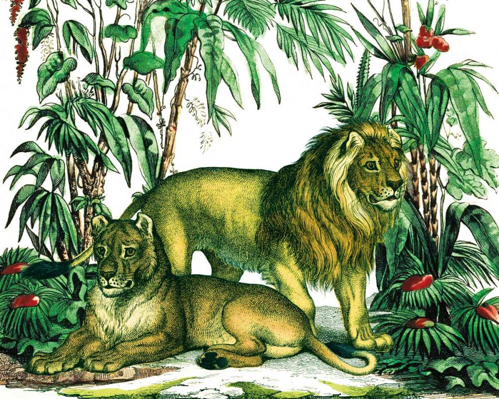Jungle Flair VI art print by Wild Apple Portfolio for $57.95 CAD