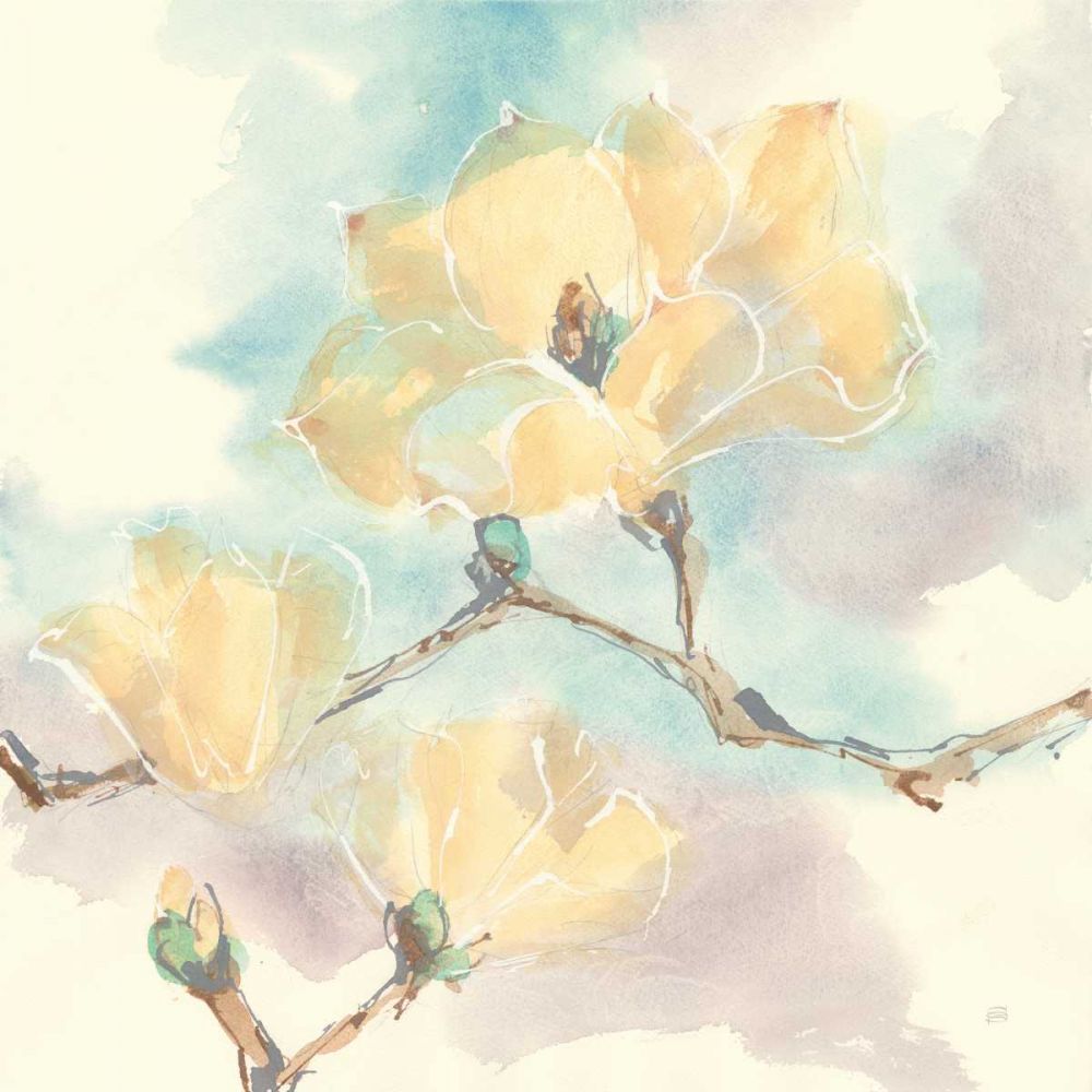 Magnolias in White I art print by Chris Paschke for $57.95 CAD