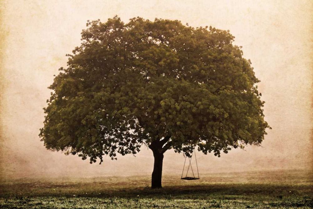 The Hopeful Oak art print by Debra Van Swearingen for $57.95 CAD