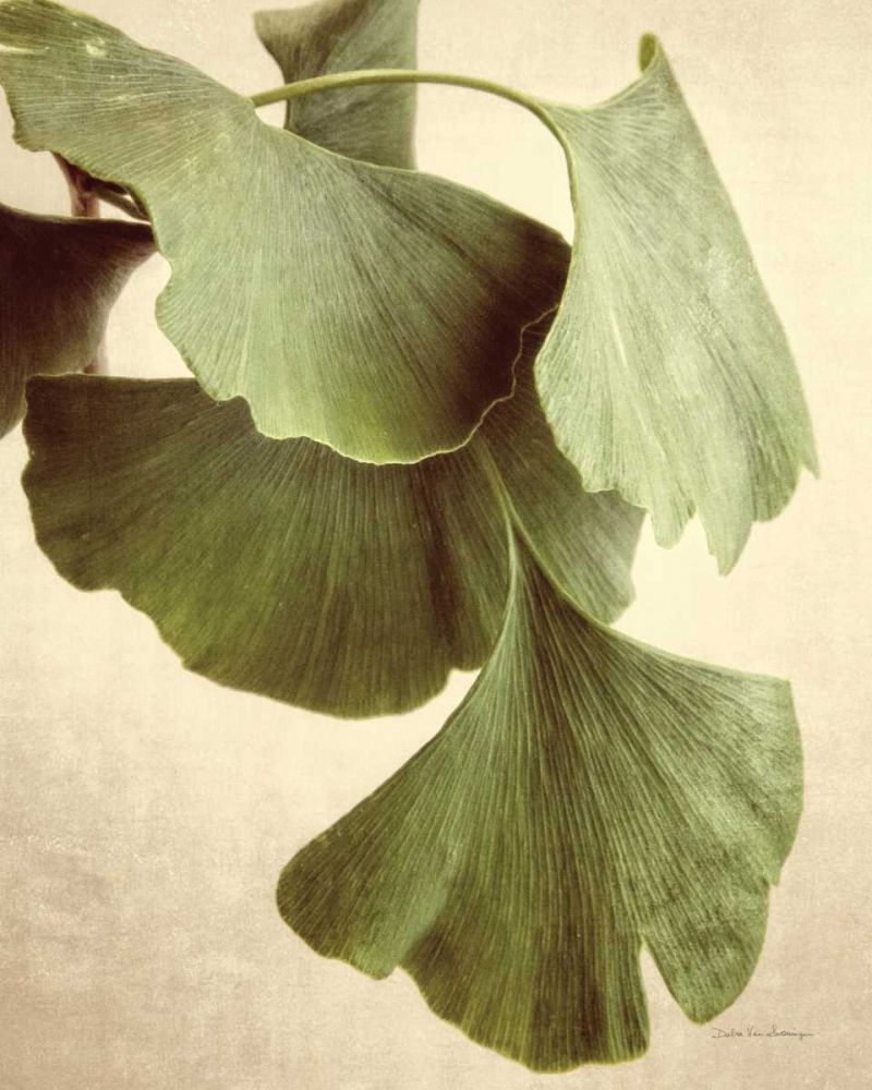 Gingko Color art print by Debra Van Swearingen for $57.95 CAD