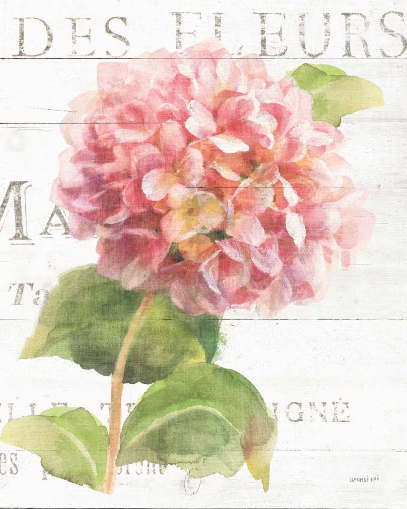 Maison des Fleurs VII art print by Danhui Nai for $57.95 CAD