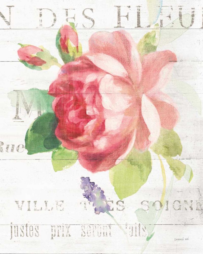 Maison des Fleurs VIII art print by Danhui Nai for $57.95 CAD