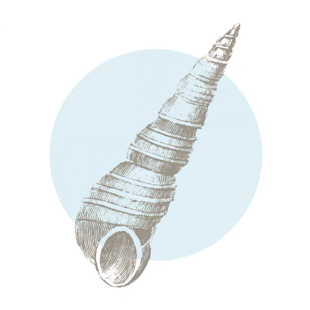 Conchology Sketches I art print by Wild Apple Portfolio for $57.95 CAD