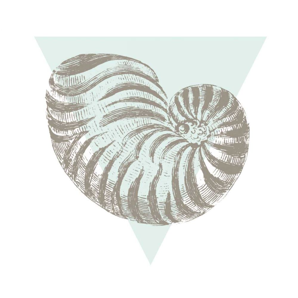Conchology Sketches II art print by Wild Apple Portfolio for $57.95 CAD