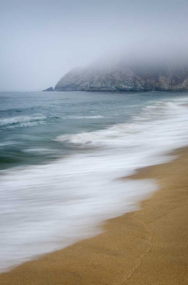 Gray Whale Cove art print by Alan Majchrowicz for $57.95 CAD
