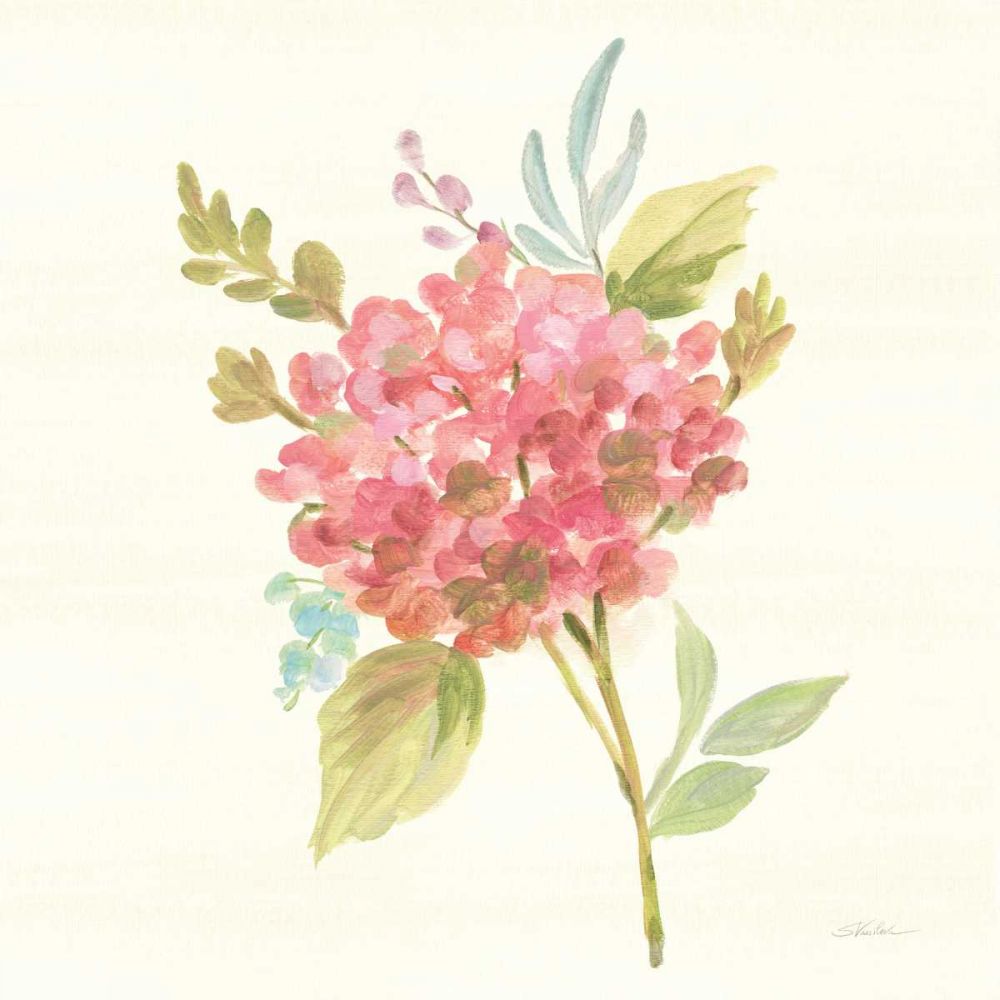 Petals and Blossoms VII art print by Silvia Vassileva for $57.95 CAD