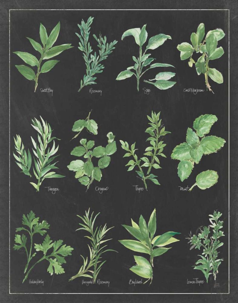 Herb Chart on Black White Border art print by Chris Paschke for $57.95 CAD