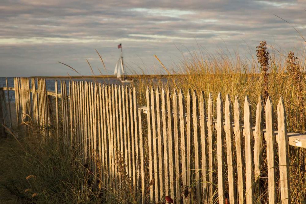 Along the Fence I art print by Aledanda for $57.95 CAD
