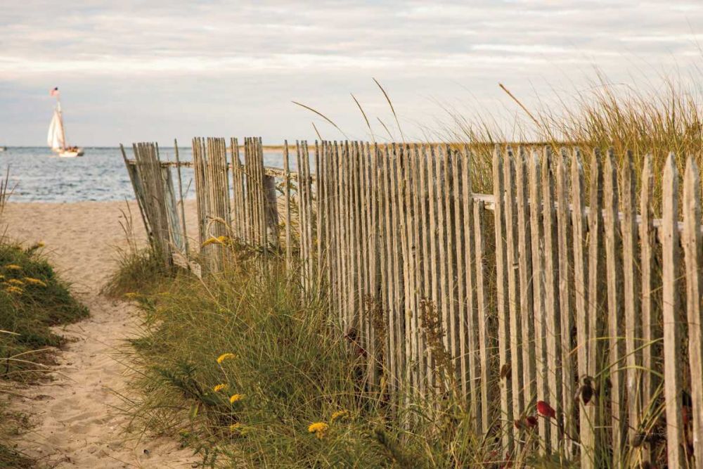 Along the Fence II art print by Aledanda for $57.95 CAD