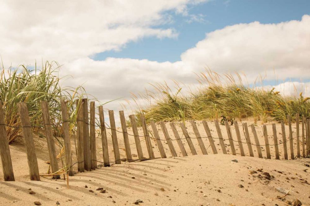 Beach Dunes I art print by Aledanda for $57.95 CAD