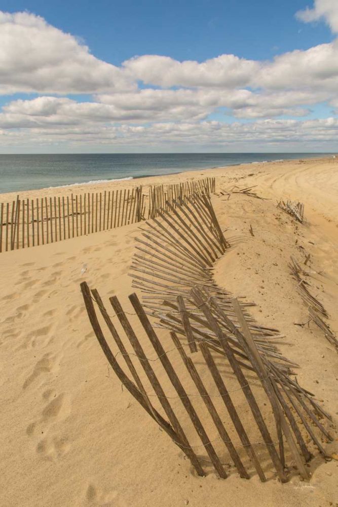 Beach Dunes II art print by Aledanda for $57.95 CAD