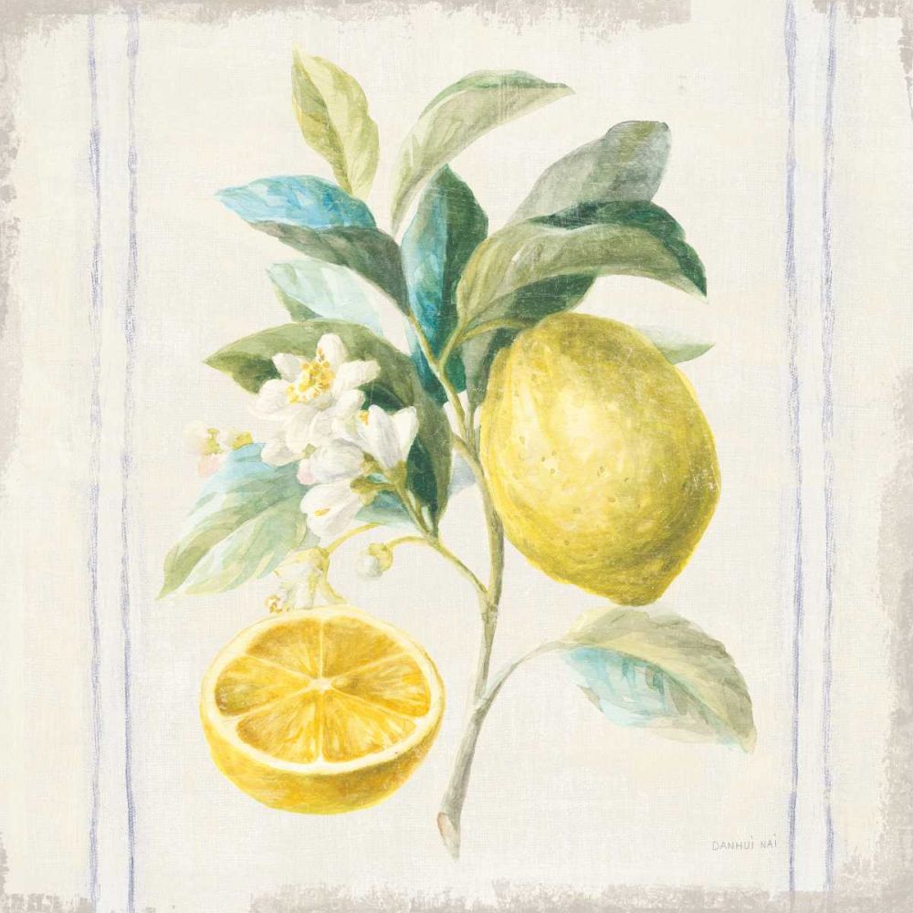 Floursack Lemons IV Sq Navy art print by Danhui Nai for $57.95 CAD