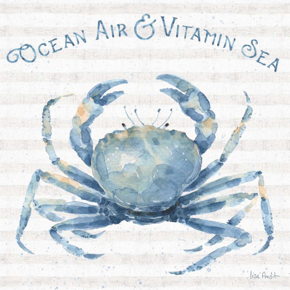Nautical Life X art print by Lisa Audit for $57.95 CAD