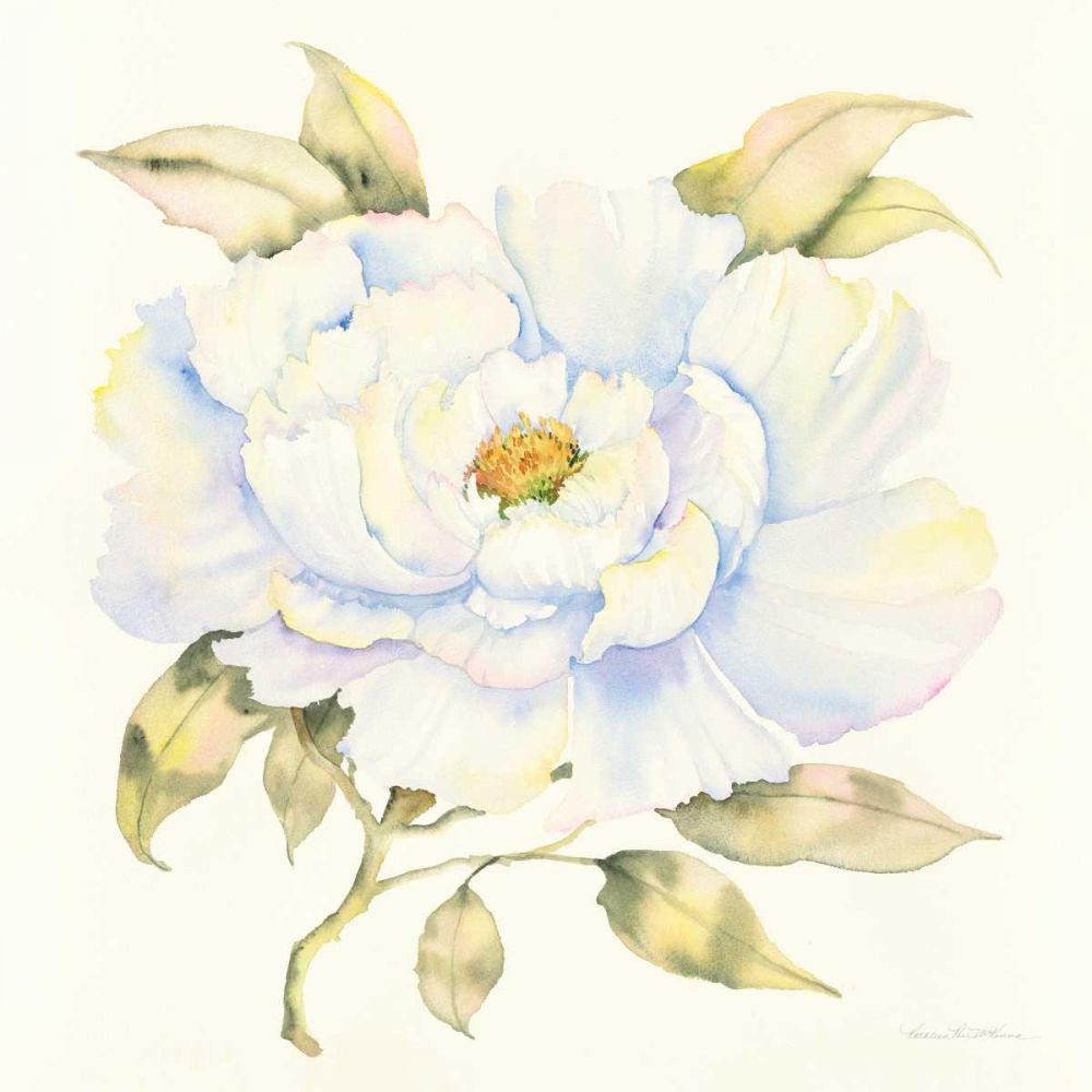Peony art print by Kathleen Parr McKenna for $57.95 CAD