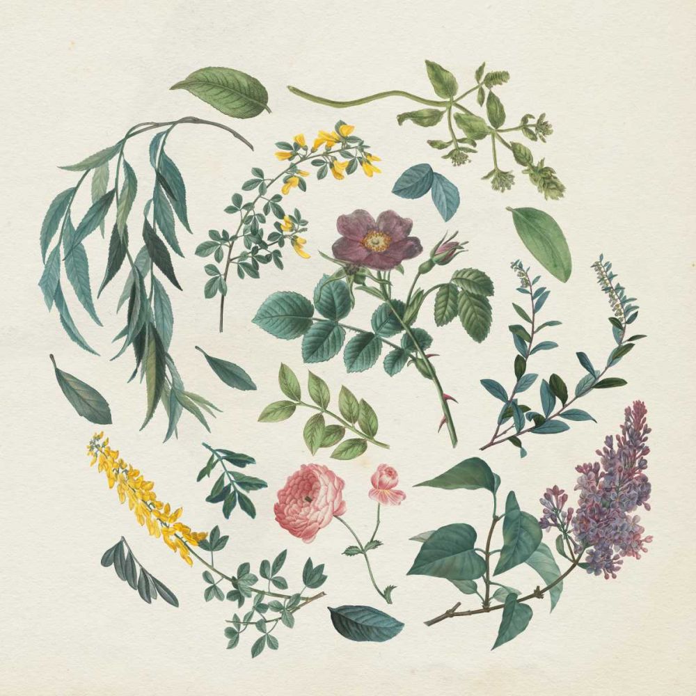 Victorian Garden I art print by Wild Apple Portfolio for $57.95 CAD