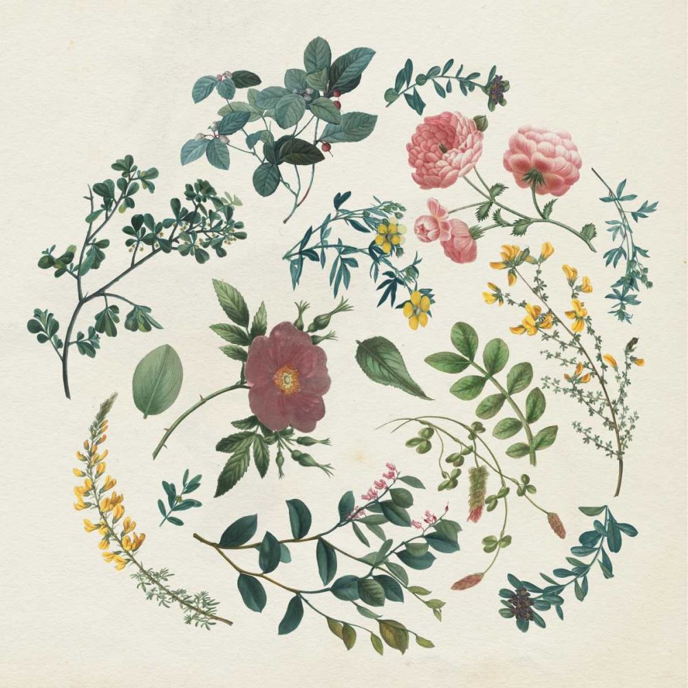 Victorian Garden II art print by Wild Apple Portfolio for $57.95 CAD