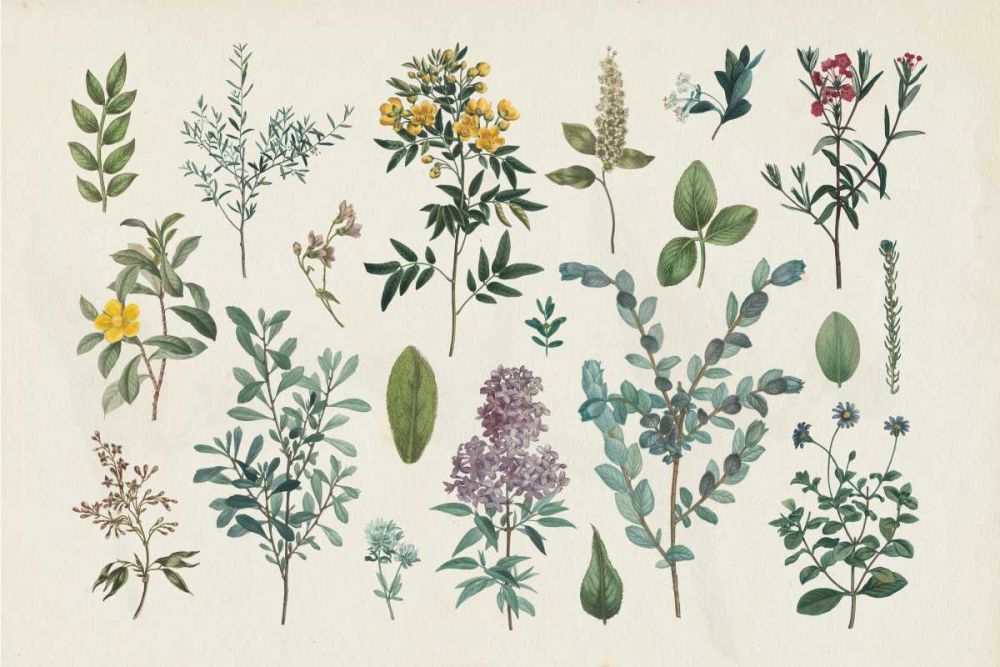 Victorian Garden IV art print by Wild Apple Portfolio for $57.95 CAD