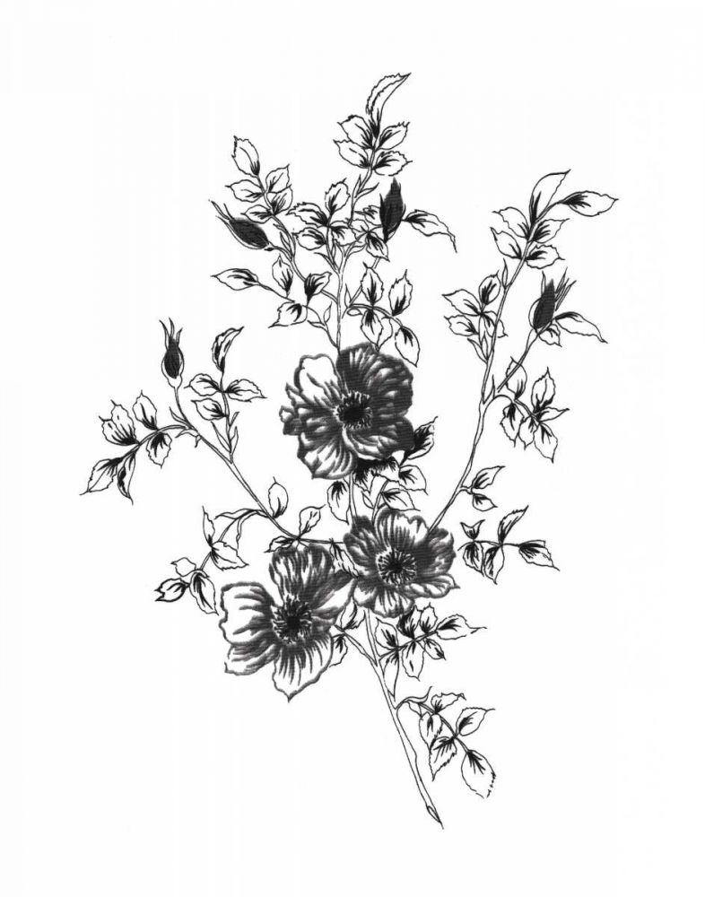 Sketchbook Flowers on White II art print by Wild Apple Portfolio for $57.95 CAD