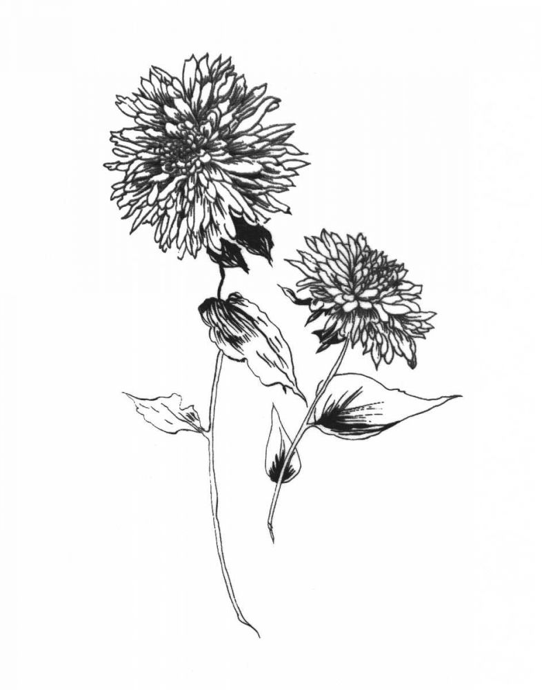 Sketchbook Flowers on White IV art print by Wild Apple Portfolio for $57.95 CAD