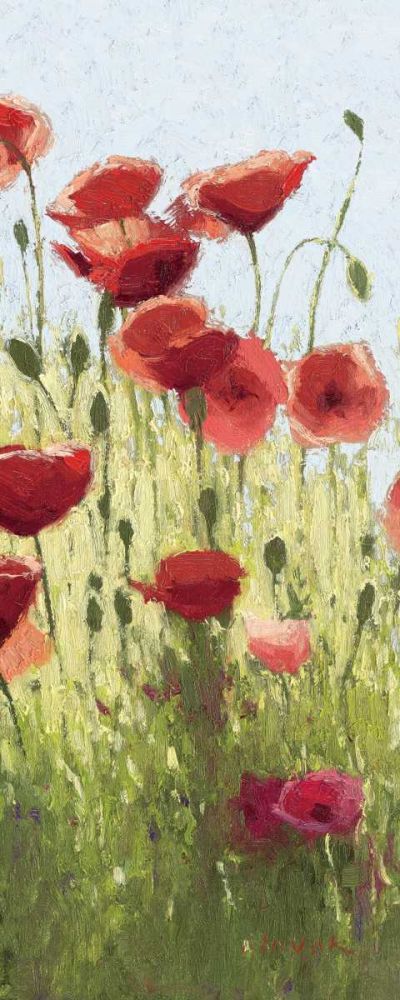 Mountain Poppies I - Wag art print by Shirley Novak for $57.95 CAD