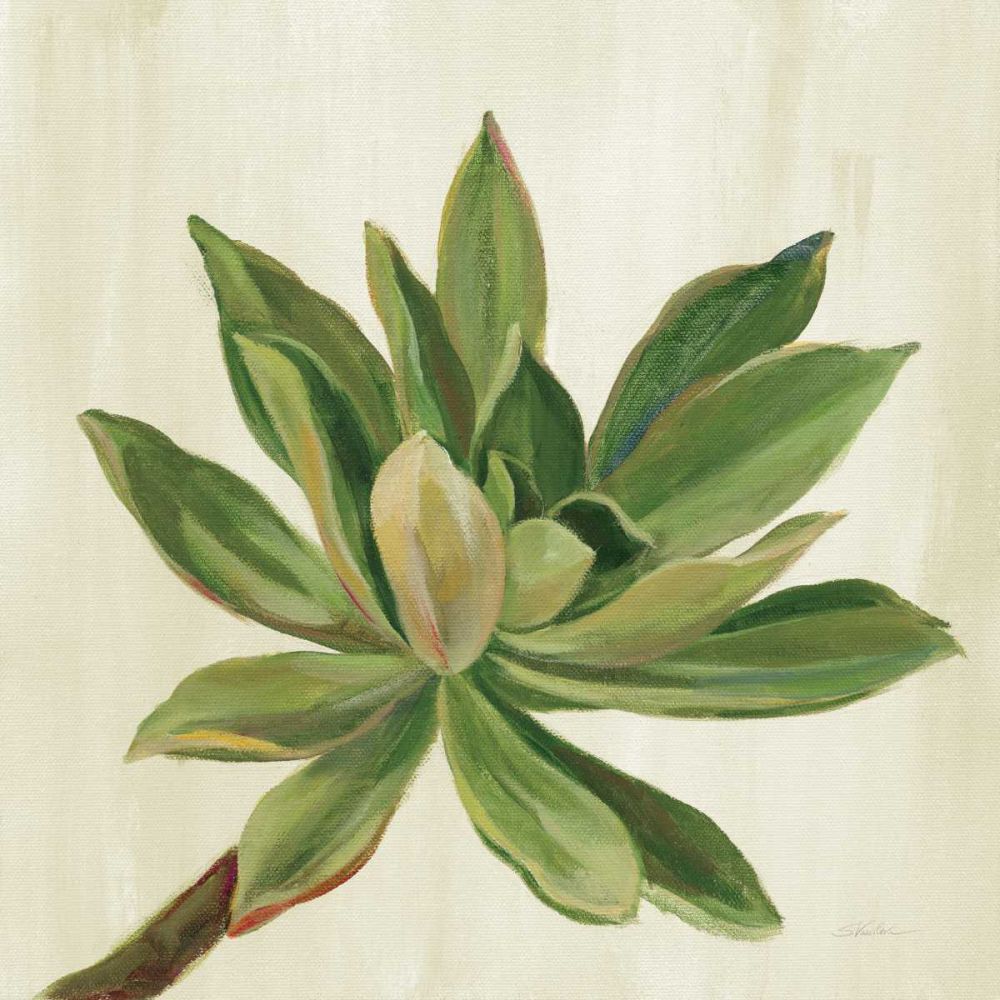 Front Yard Succulent I art print by Silvia Vassileva for $57.95 CAD