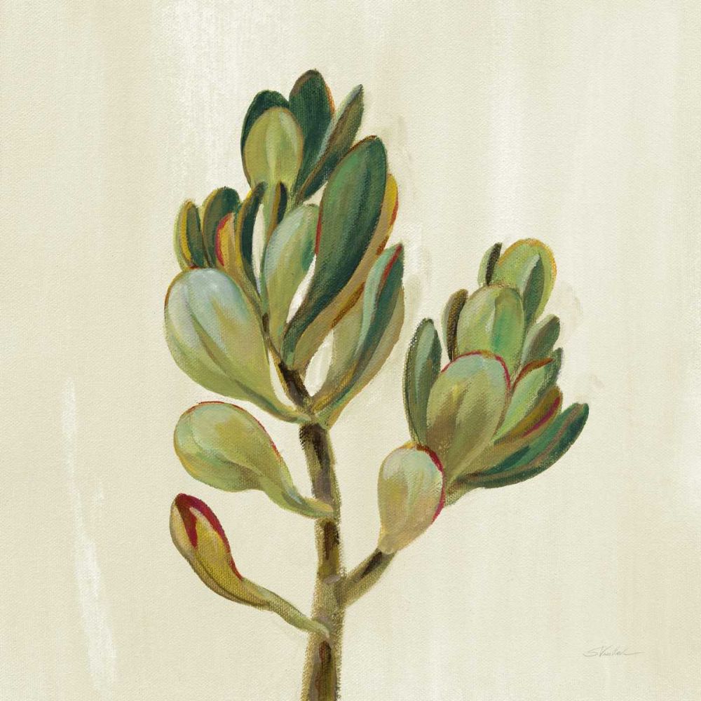 Front Yard Succulent II art print by Silvia Vassileva for $57.95 CAD