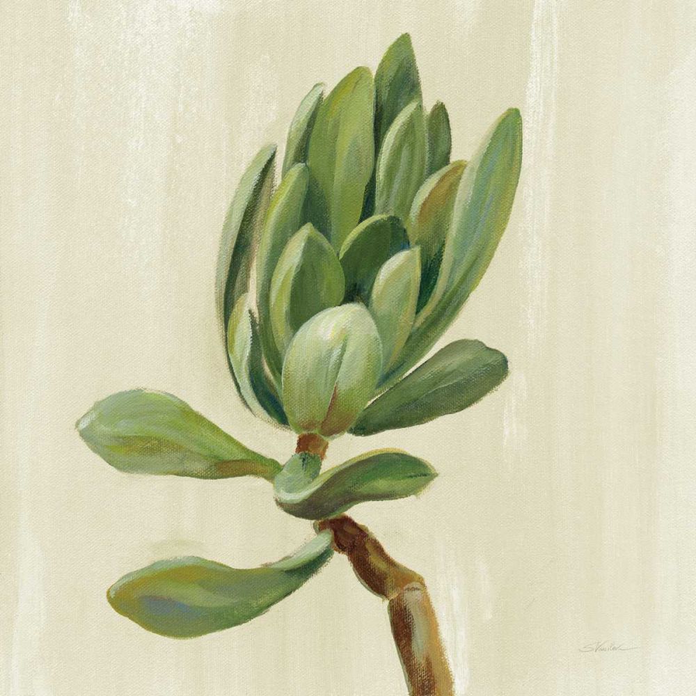 Front Yard Succulent III art print by Silvia Vassileva for $57.95 CAD