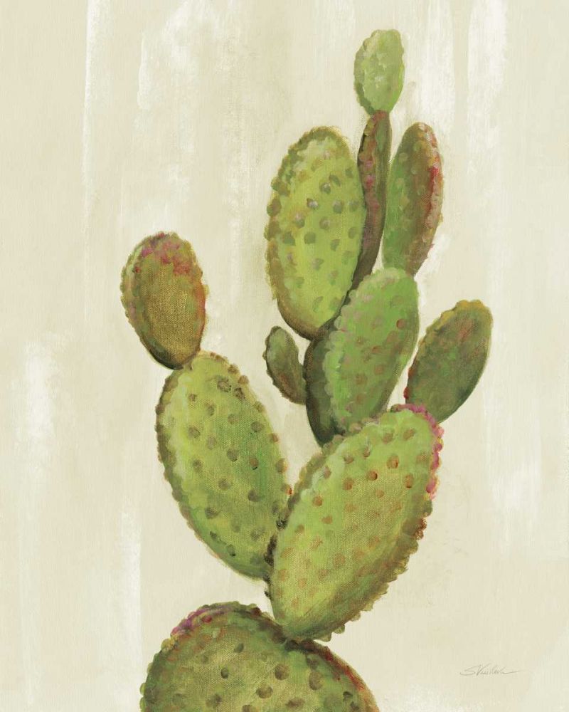 Front Yard Cactus I art print by Silvia Vassileva for $57.95 CAD