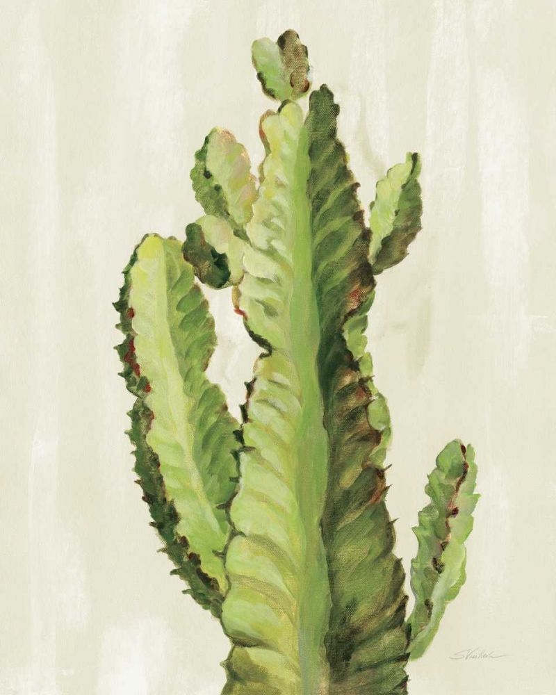 Front Yard Cactus II art print by Silvia Vassileva for $57.95 CAD