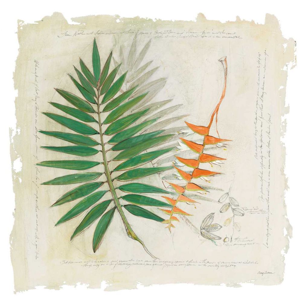Botanical Study II Light art print by Avery Tillmon for $57.95 CAD