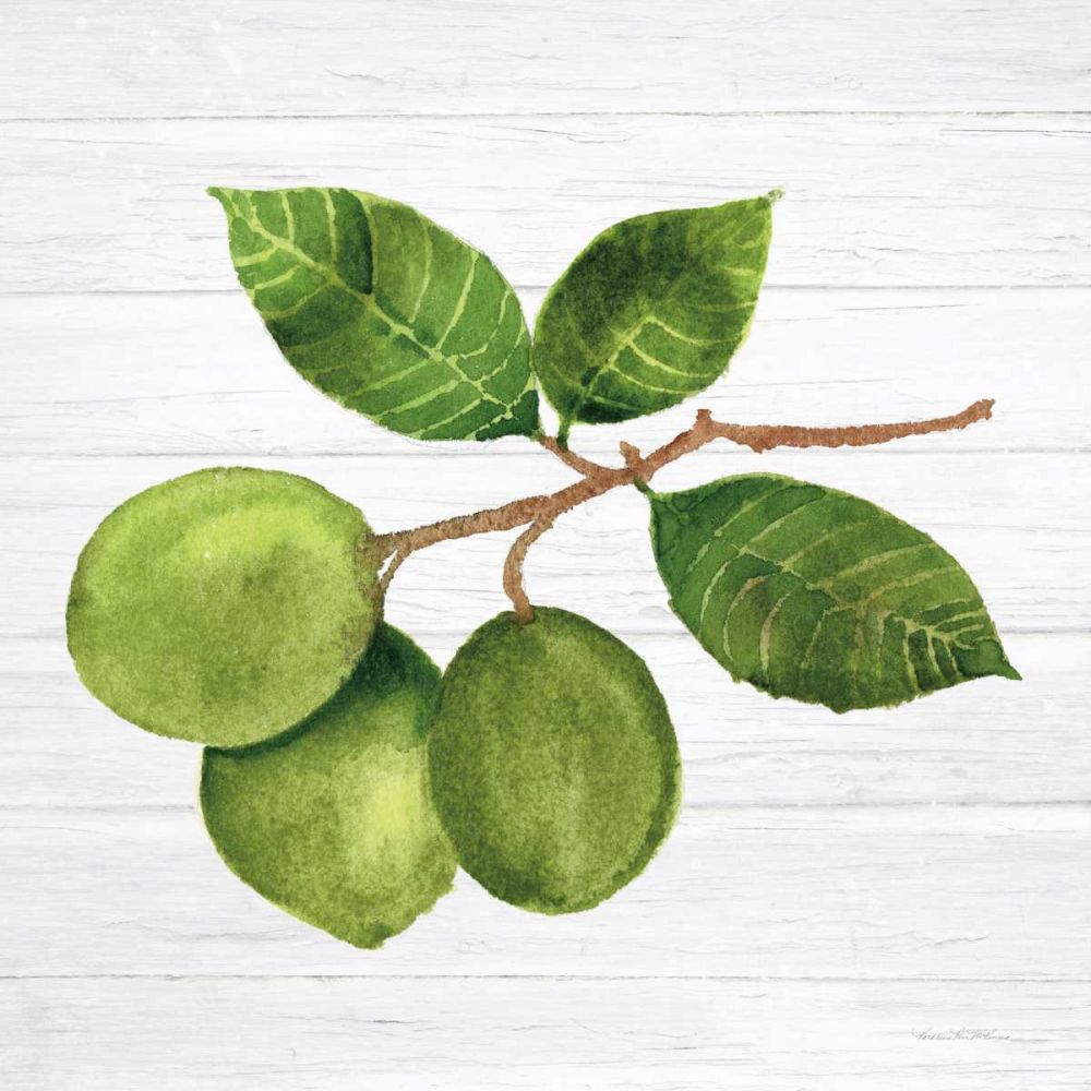 Citrus Garden II Shiplap art print by Kathleen Parr McKenna for $57.95 CAD