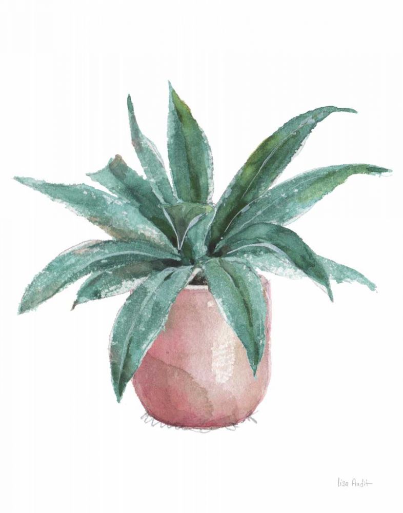 Mixed Greens Succulent I art print by Lisa Audit for $57.95 CAD