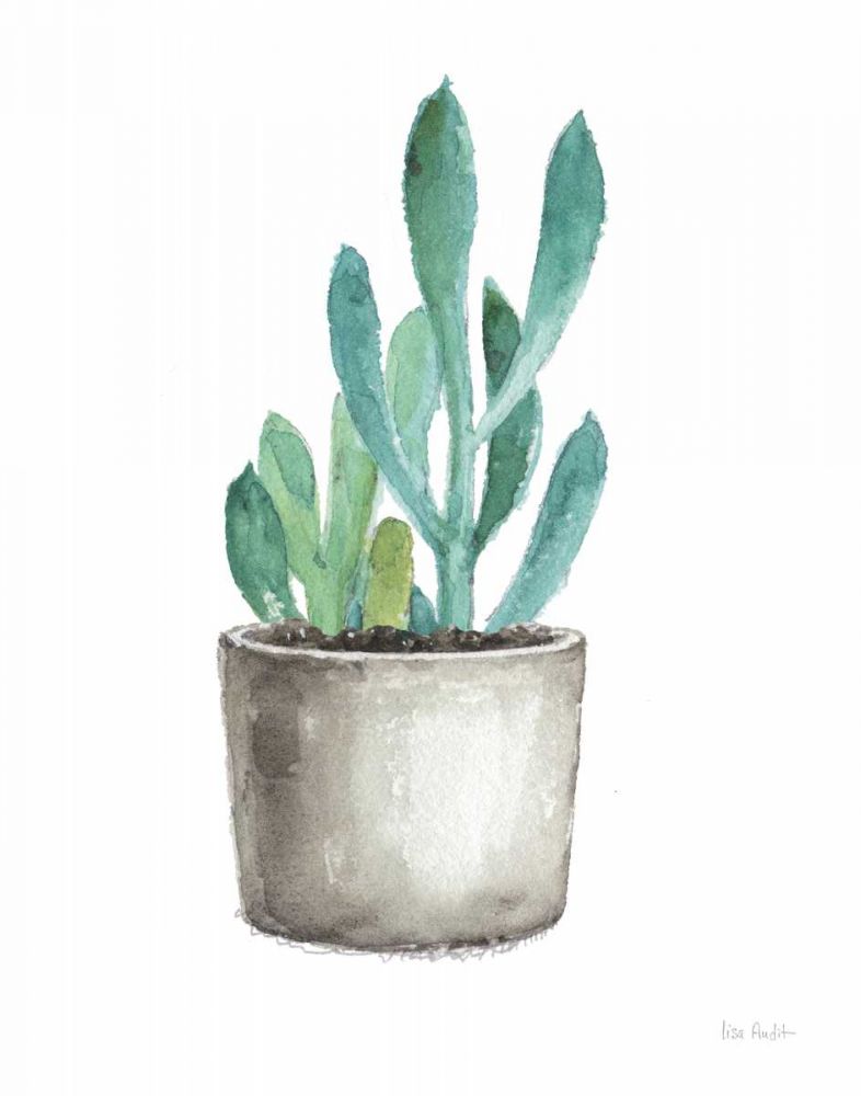 Mixed Greens Succulent V art print by Lisa Audit for $57.95 CAD