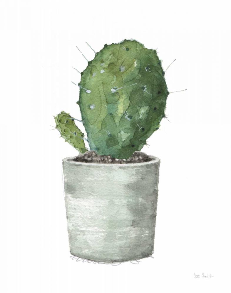 Mixed Greens Succulent VI art print by Lisa Audit for $57.95 CAD