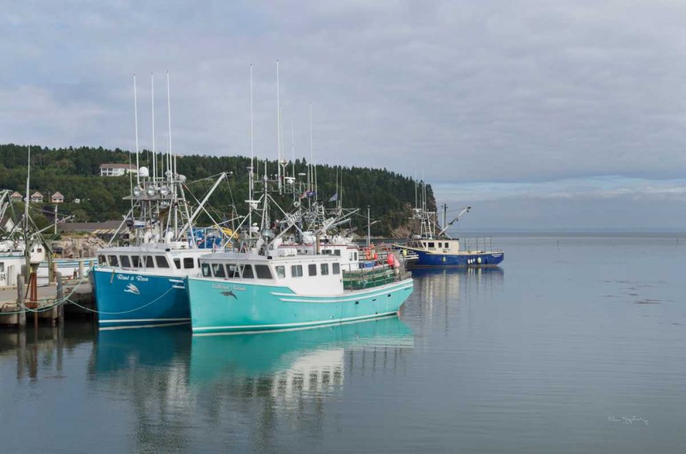 Bay of Fundy I art print by Alan Majchrowicz for $57.95 CAD