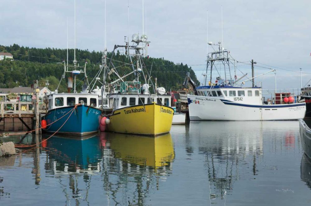 Bay of Fundy II art print by Alan Majchrowicz for $57.95 CAD