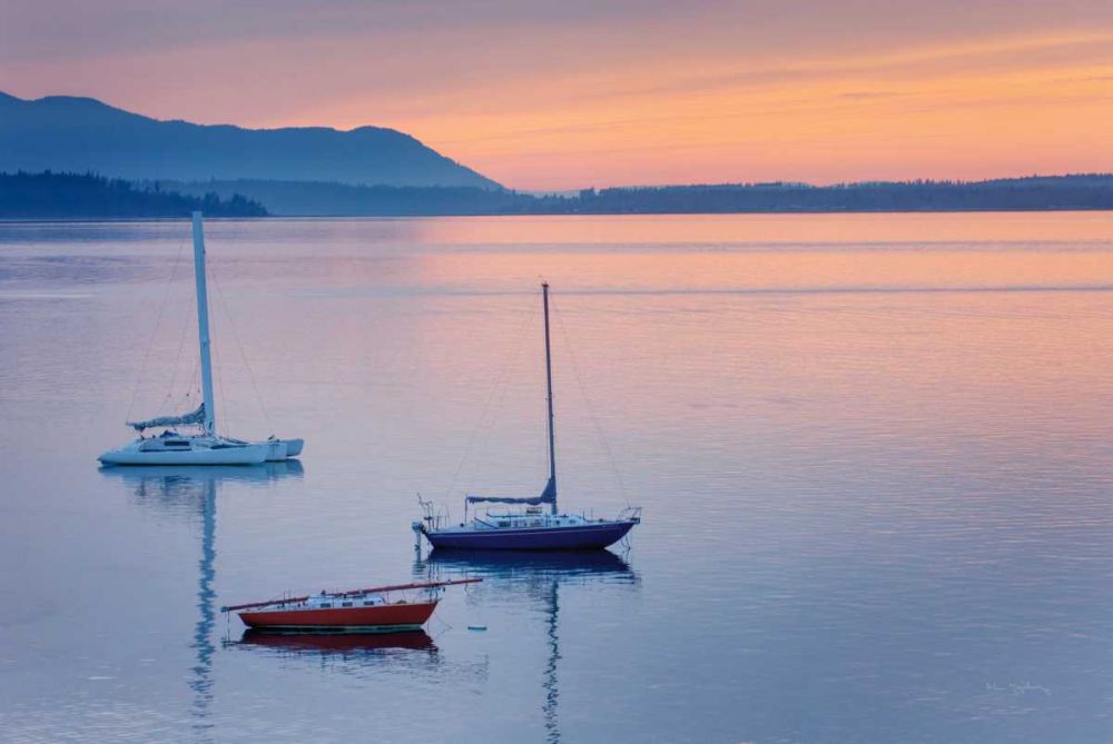 Bellingham Bay art print by Alan Majchrowicz for $57.95 CAD