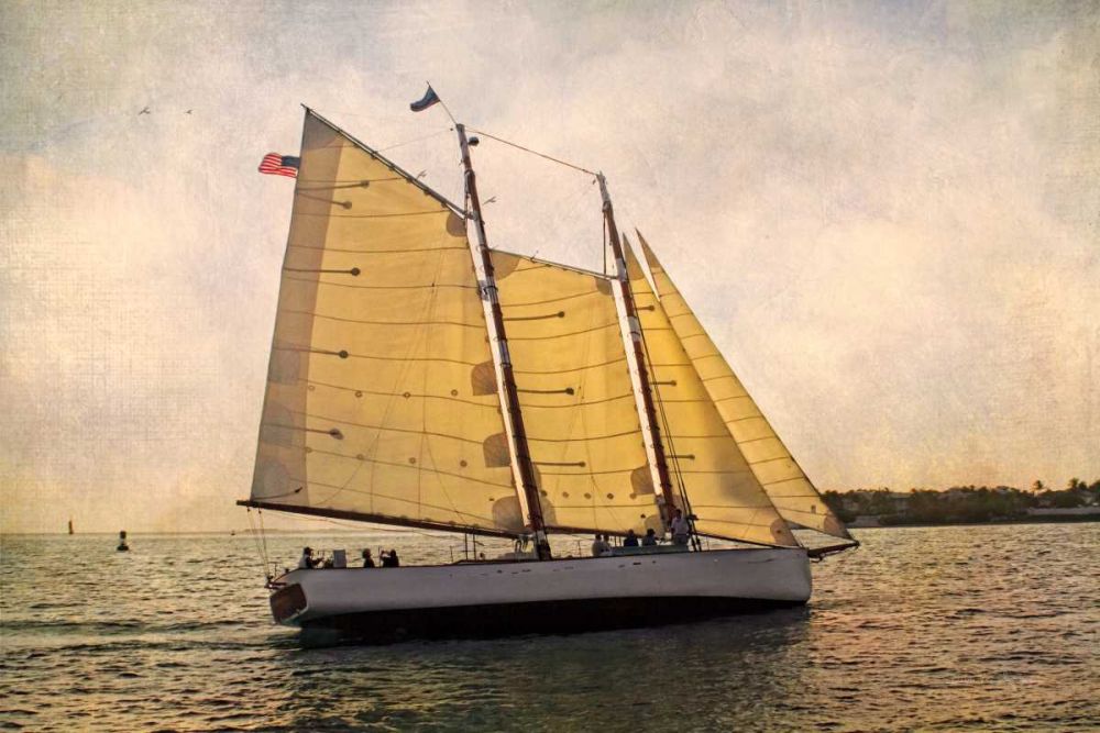 Morning Sail art print by Debra Van Swearingen for $57.95 CAD