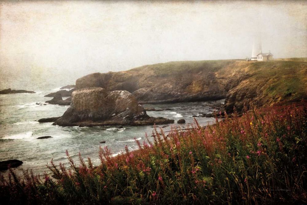 Coastal Mist art print by Debra Van Swearingen for $57.95 CAD