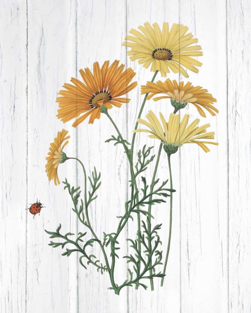 Botanical Bouquet on Wood I art print by Wild Apple Portfolio for $57.95 CAD