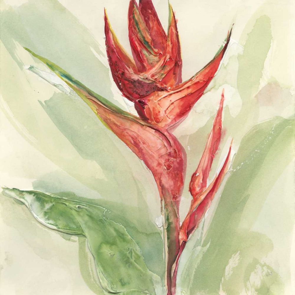 Exotic Flower IV art print by Chris Paschke for $57.95 CAD