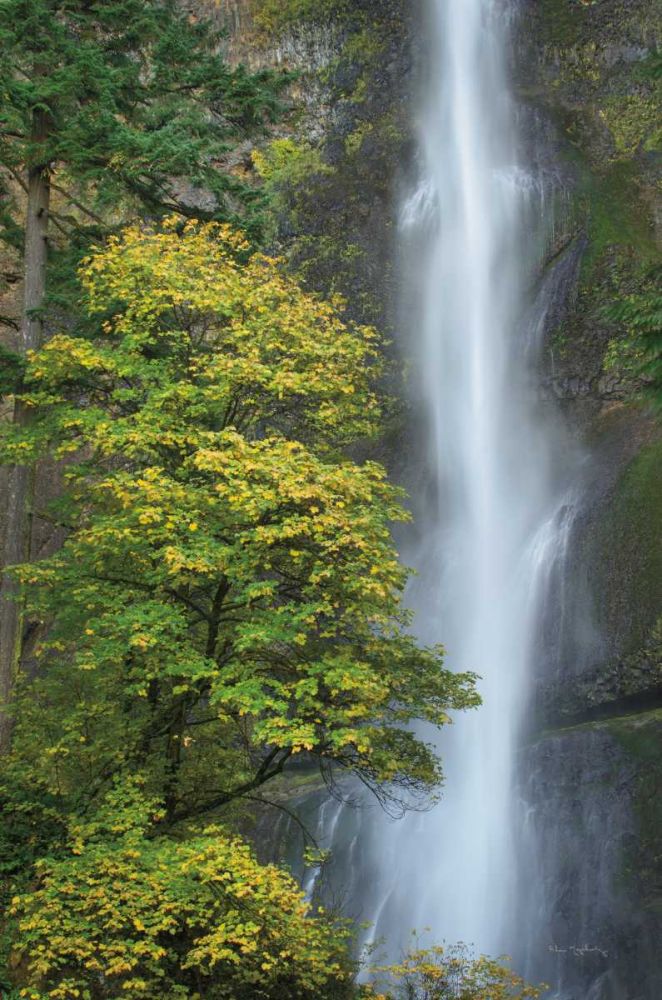 Multnomah Falls color art print by Alan Majchrowicz for $57.95 CAD