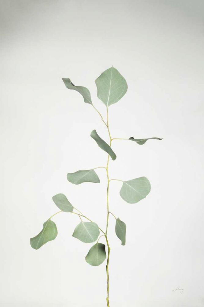 Simple Stems I art print by Felicity Bradley for $57.95 CAD