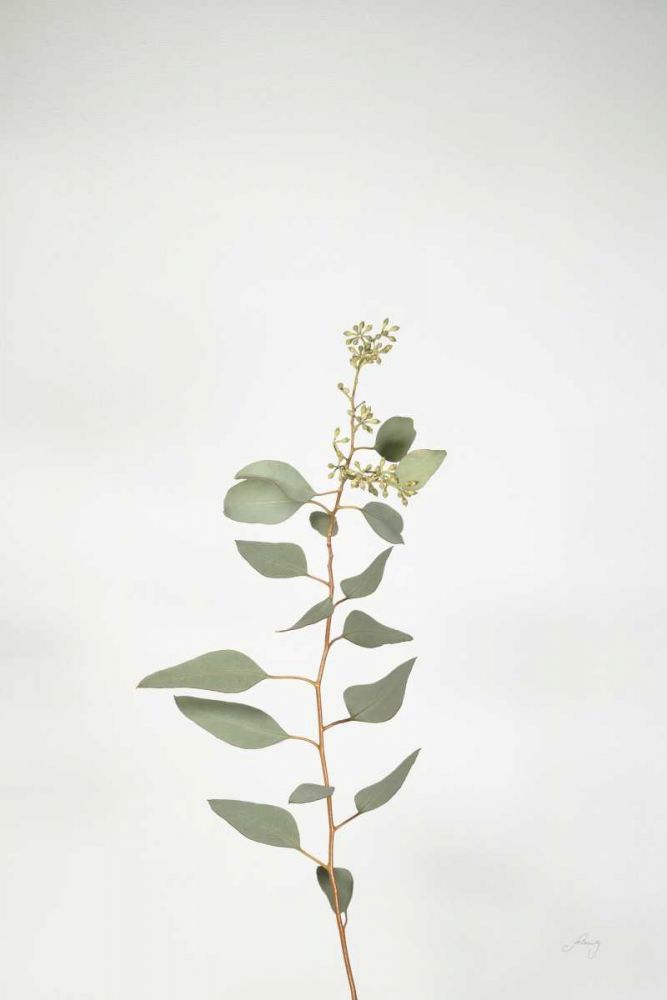Simple Stems II art print by Felicity Bradley for $57.95 CAD