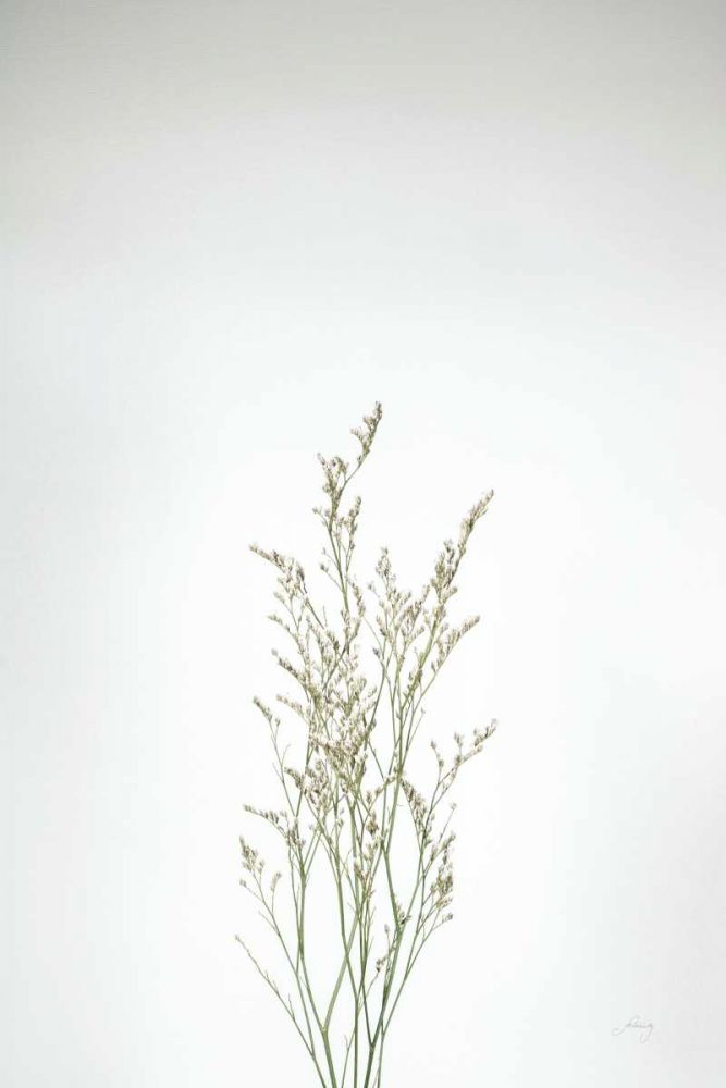Simple Stems V art print by Felicity Bradley for $57.95 CAD