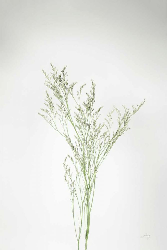 Simple Stems VII art print by Felicity Bradley for $57.95 CAD