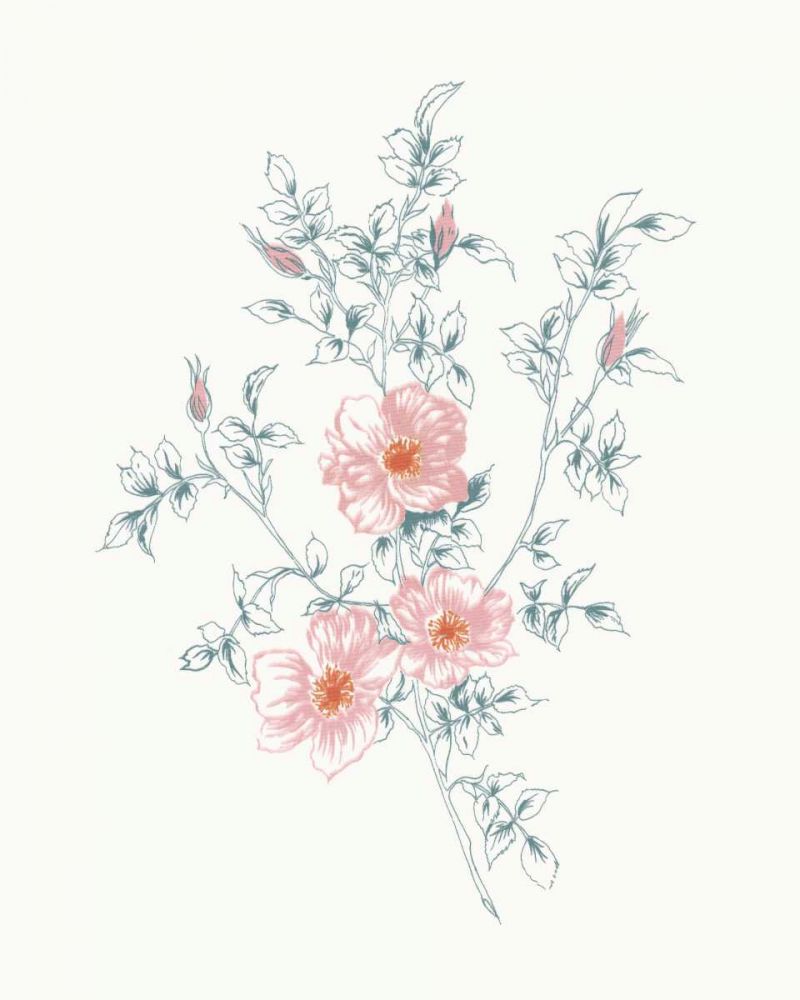 Flowers on White II Contemporary Bright art print by Wild Apple Portfolio for $57.95 CAD