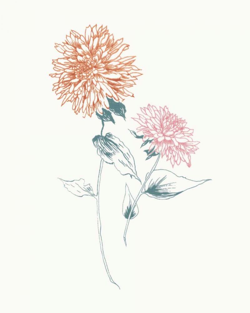 Flowers on White IV Contemporary Bright art print by Wild Apple Portfolio for $57.95 CAD
