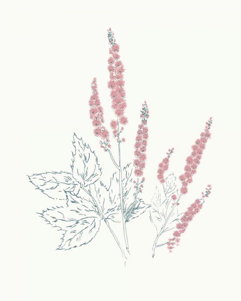 Flowers on White VII Contemporary Bright art print by Wild Apple Portfolio for $57.95 CAD